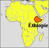 Scolarisation : Plus de 7000 écoles endommagées en Ethiopie